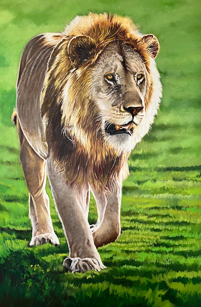 Primal Elegance: Lion's Stroll on the Meadow